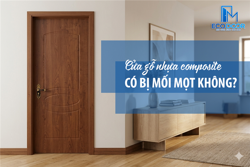 Cửa composite có bị mối mọt không? 